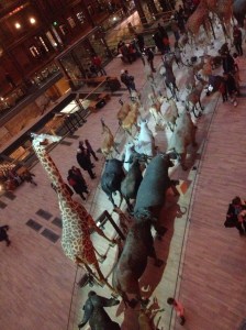 Museum of Natural History 