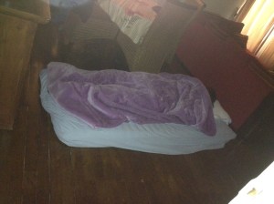 This is "I'm-not-tired-at-all-Laura" 12 hours after crashing on her first night in Paris.