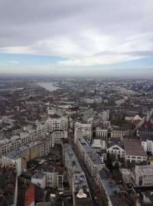 View of Nantes from the tower. The river seen is the Loire. 